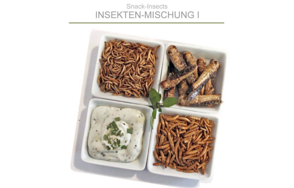 Einfach nur lecker? Wer möchte, kann sich Mehlwürmer, Heuschrecken und Verwandtschaft praktisch abgepackt online bestellen – 200g für knapp 12€. Zum Beispiel über Snackinsects (auch Quelle des Fotos)